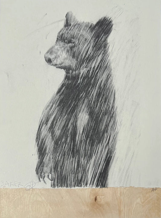 Three Bears (1), by Charming Baker