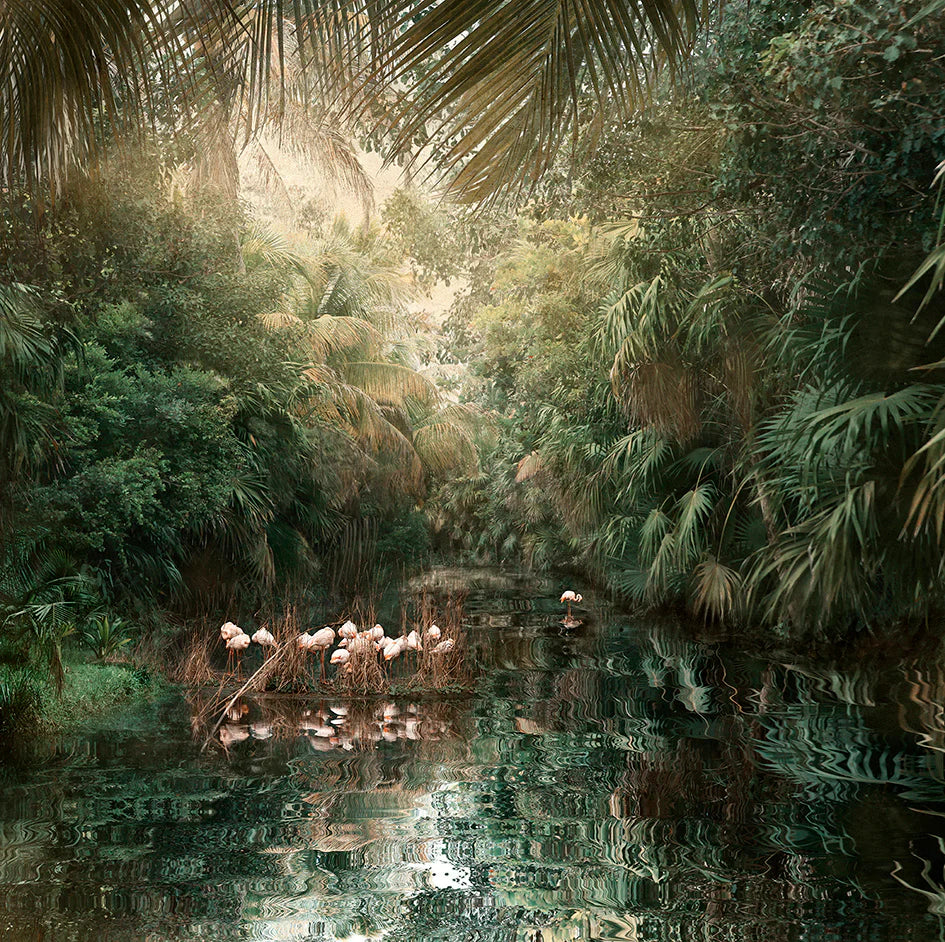Backwaters Song, by Nadia Attura