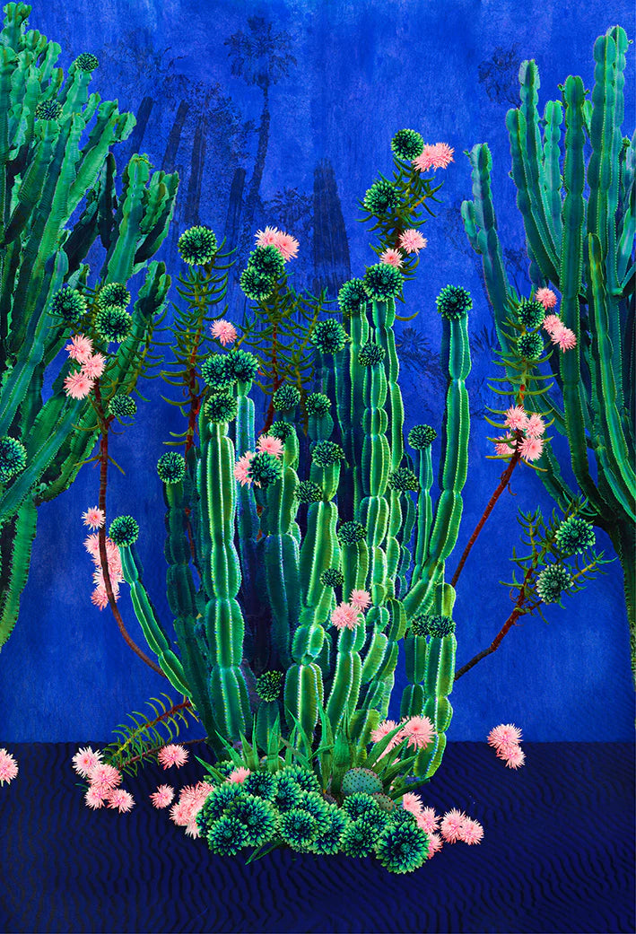 Cactus Majorelle by Nadia Attura. Fine Art Giclee Print in blue , green and pink using archival pigment ink.  