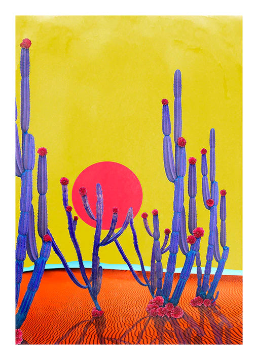 Cactus Sunset, by Nadia Attura
