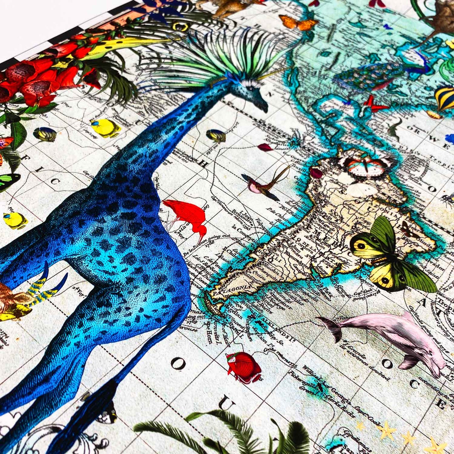 Giraffa Discoveries of the World by Kristjana S Williams