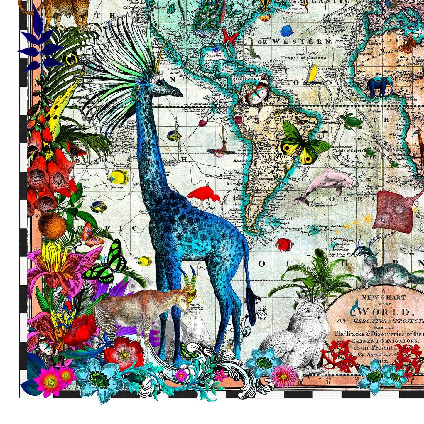 Giraffa Discoveries of the World by Kristjana S Williams