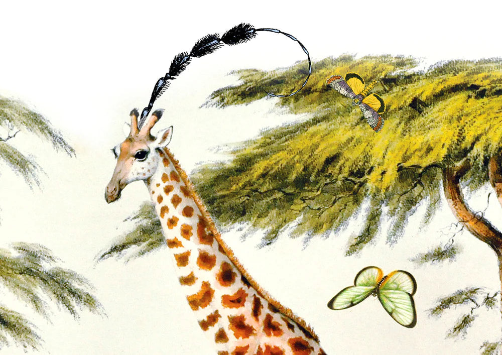 Giraffe Gardur, by Kristjana S Williams