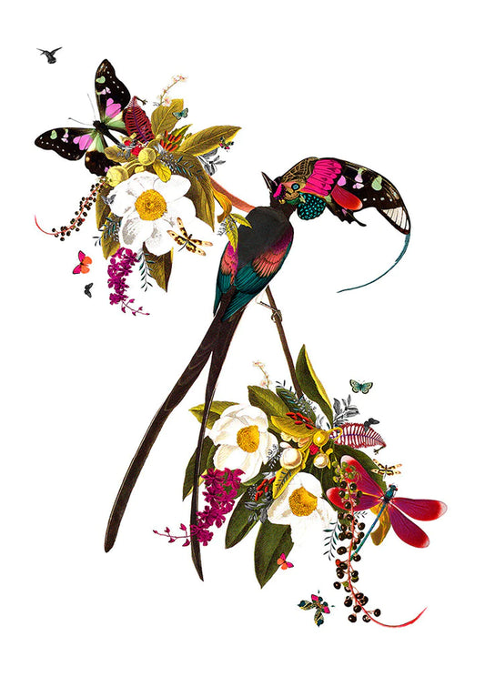 Langi Tagl Audubon, by Kristjana S Williams