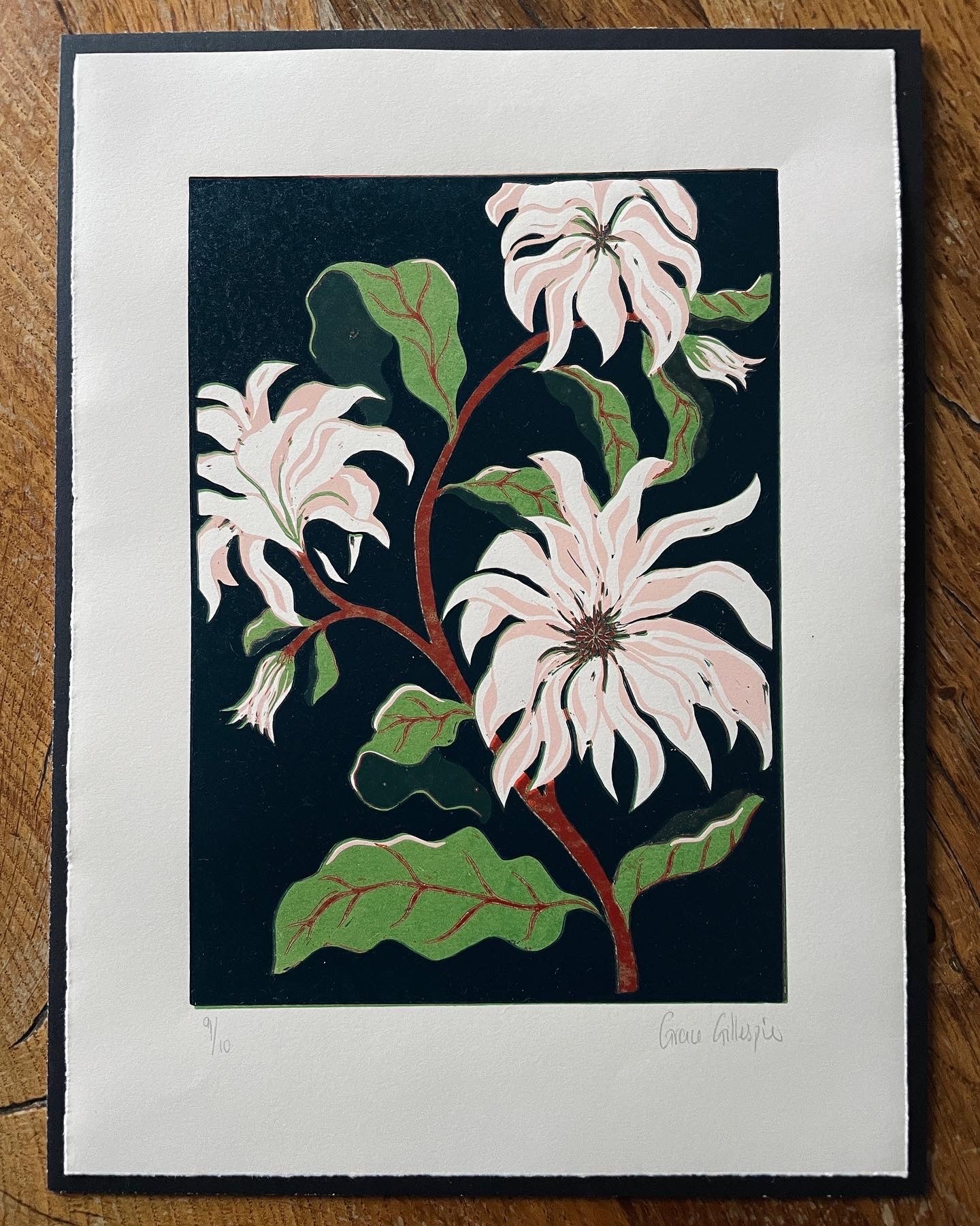 'Small Dahlia' reduction linoprint, by Grace Gillespie. Floral wall print in pink and green on a black background.
